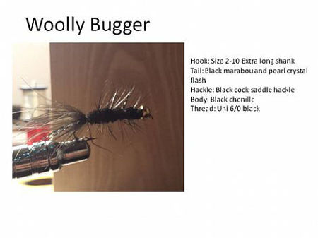 Picture of Woolly Bugger